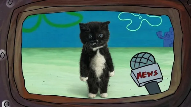 MOKI standing upright inside a cartoon television frame beside a news microphone