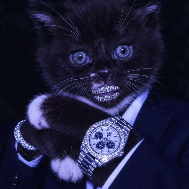 MOKI in a dark suit under blue light, wearing a diamond watch and grillz